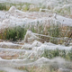 Illustration for article titled Massive spiderwebs engulf Australian town as arachnids escape floods